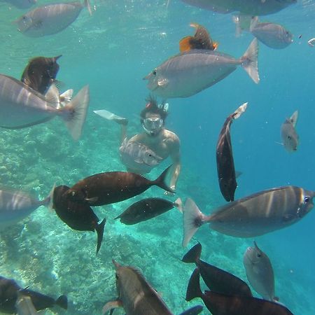 Sun Tan Beach Hotel Maafushi Luaran gambar