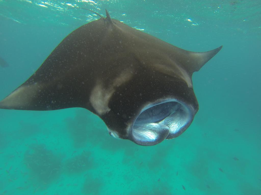 Sun Tan Beach Hotel Maafushi Luaran gambar